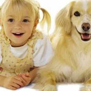 Куче за семейство с деца - какво порода да избера?