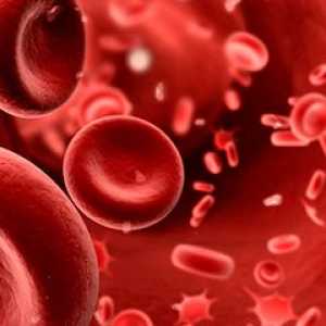 СУЕ в кръвта на дете: норма и патология