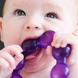 Условия и признаци на никнене на млечни зъби при кърмачета