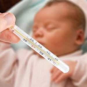 Телесната температура на новородено