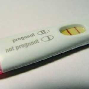 Тест за бременност, се препоръчва да се направи на сутринта. Защо?