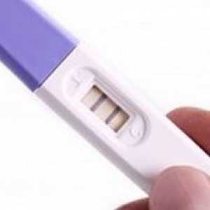 Тест за бременност ленти