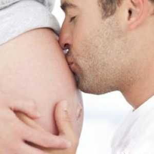 Участие в бъдеща бременност татковци