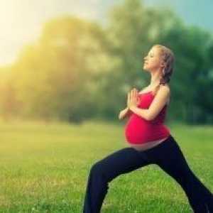 Учените авторитетно заявяват: йога за облекчаване на стреса бременност
