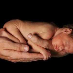 Заплахата от преждевременно раждане: причини, симптоми, лечение