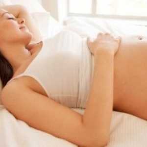 Накратко шийката на матката по време на бременност