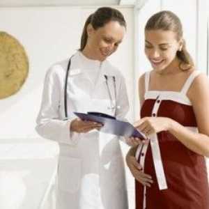 Нива на HCG по време на бременността
