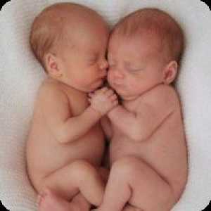 Вероятността за раждане на близнаци