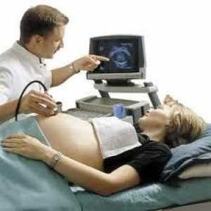 Вреден при ултразвук по време на бременност?