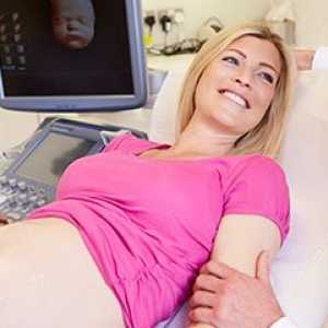 Има ли ултразвук е вредно по време на бременност