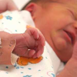 Всичко, което трябва да знаете за теглото и височината на новородено бебе