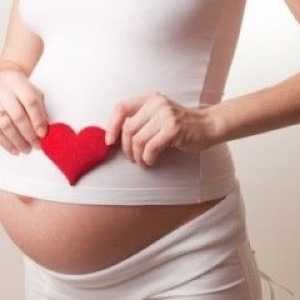 Висок пулс по време на бременност