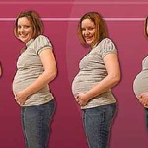 Коремът расте по време на бременност